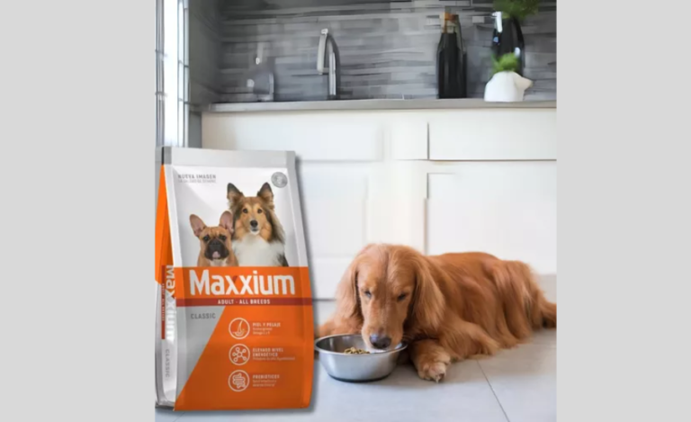 The Growing Pet Food Industry In Alimento Maxxium Es Bueno O Malo Opiniones Argentina