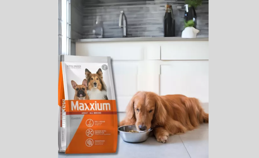 The Growing Pet Food Industry In Alimento Maxxium Es Bueno O Malo